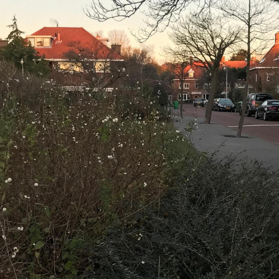 Boutique Hide & Seek, Bed & Beach Bed & Breakfast Haag Eksteriør bilde