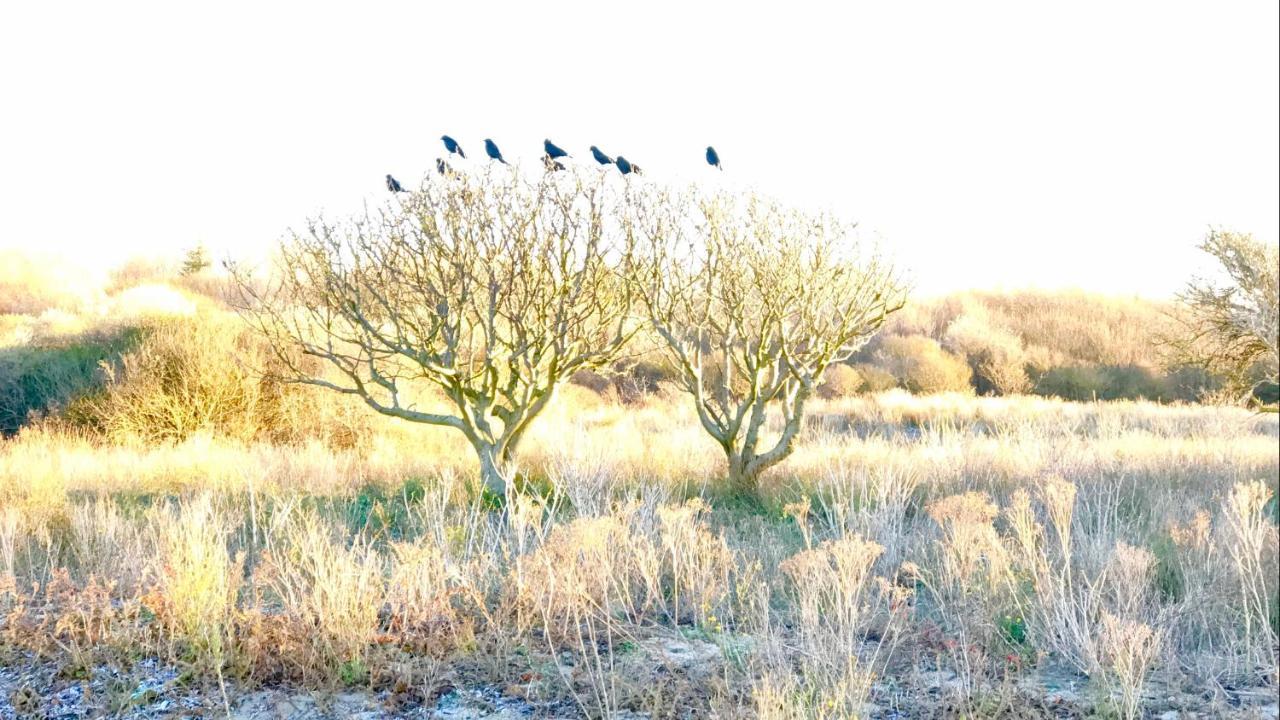 Boutique Hide & Seek, Bed & Beach Bed & Breakfast Haag Eksteriør bilde