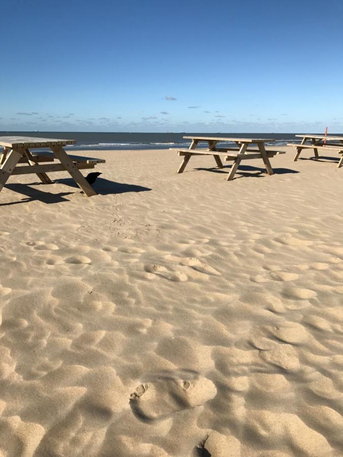 Boutique Hide & Seek, Bed & Beach Bed & Breakfast Haag Eksteriør bilde