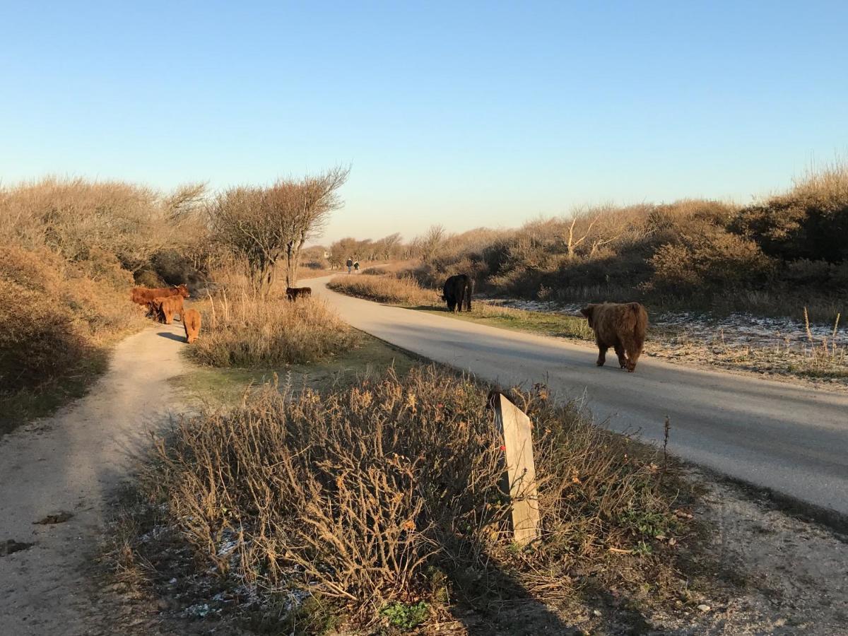Boutique Hide & Seek, Bed & Beach Bed & Breakfast Haag Eksteriør bilde