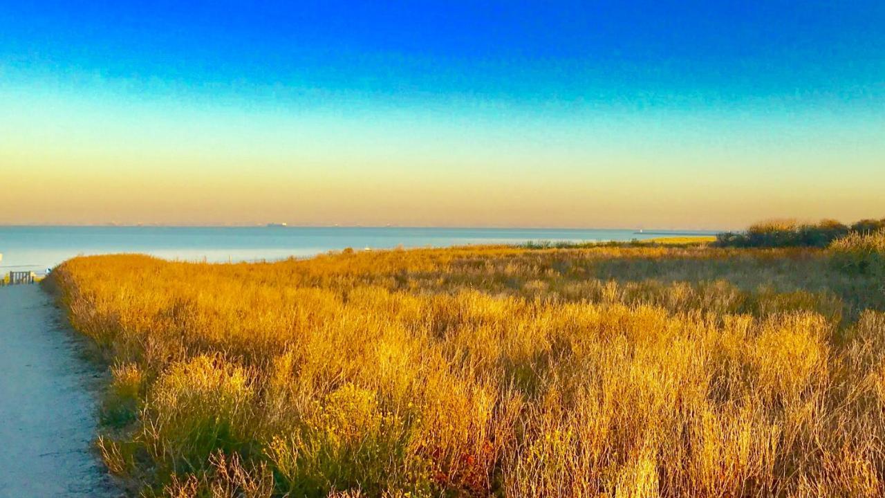 Boutique Hide & Seek, Bed & Beach Bed & Breakfast Haag Eksteriør bilde